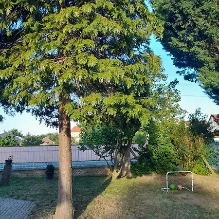 Fehervadasz Vendeghaz